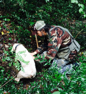 capture-decran-2016-10-23-a-08-24-36