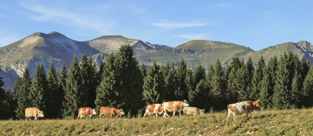Tourisme lent dans la Valbelluna